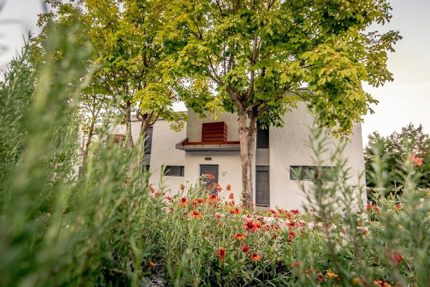 Pleiades Boutique Villas Kriopigi Bagian luar foto